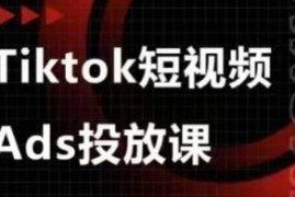 TikTok短视频Ads投放实战课程 含选品投流素材剪辑全流程教学