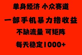 2026年单身经济冷门蓝海项目 低门槛小白易上手收益稳定
