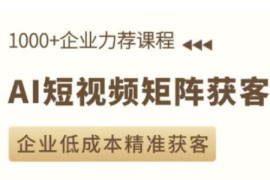 AI短视频矩阵获客实操课 企业低成本精准获客全攻略