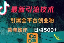 2025实用低竞争创业粉全平台引流方法 简单操作可日引300+