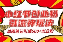 小红书创业粉精准引流玩法 单图笔记获500+精准粉实操教程
