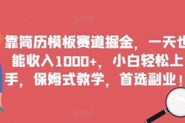 简历模板赛道副业操作教程 零成本新手易上手单日营收超千元