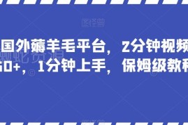 国外薅羊毛平台实操指南 新手1分钟上手做任务赚收益教程