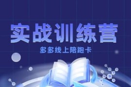 拼多多运营实战训练营 从0到1打造可盈利的正规赚钱店铺