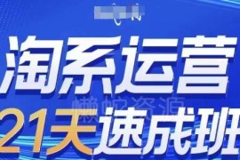 2024年6月更新 0基础21天速成可落地淘系运营实操课程