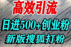 搜狐平台精准创业粉引流实操教程 单人日引500+精准粉方法