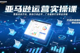 亚马逊全流程运营实操课 选品广告打法全覆盖助力打造爆款店铺