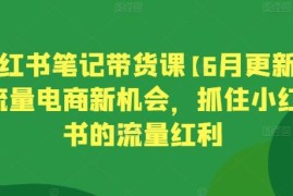 2024年6月更新小红书笔记带货课 掌握流量玩法抓住电商新机遇