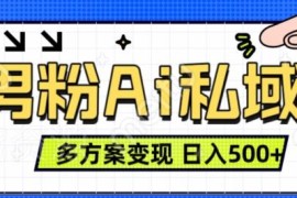 AI图片转视频男粉引流项目拆解 6种变现方式可实现日入500+