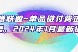2024年1月臻曦联盟单品微付费正价起号实操课程合集
