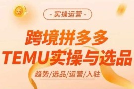 2024跨境拼多多TEMU实操教程 从入驻选品到运营全流程讲解
