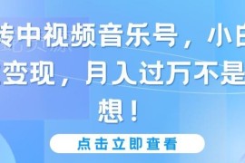 零基础做中视频音乐号副业 小白快速上手变现全攻略