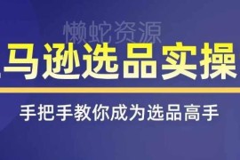 亚马逊选品实操系统课程 全渠道覆盖掌握爆品选品核心技巧