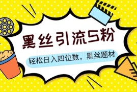黑丝题材结合情感话术S粉变现方法 起号简单变现快收益可放大