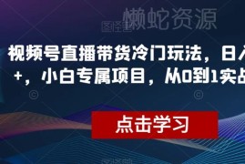 视频号冷门直播带货玩法教程 小白零门槛从0到1实操指南