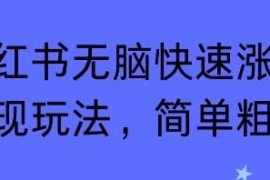 小红书商单快速涨粉变现玩法 低门槛操作技巧分享