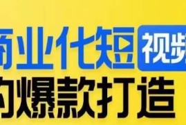 商业化短视频爆款打造课 详解高变现内容运营核心逻辑