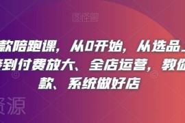 淘系爆款打造陪跑课 0基础从选品到全店运营全流程教学