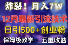2024年12月日引流500+精准创业粉 防封号及多重收益实操教程