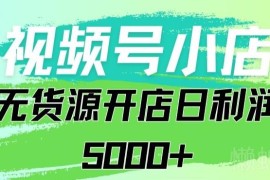 视频号无货源小店从0到1运营攻略 可实现日千单稳定纯利5000+