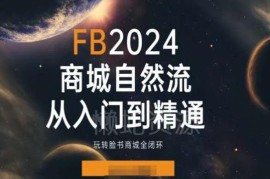 2024Facebook商城自然流运营指南 从入门到精通全闭环教程