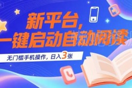 全新首发全自动阅读挂机项目 无门槛手机操作日入300+实操解析