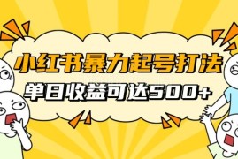 2024年11月小红书最新起号玩法 素人冷启动自媒体变现攻略