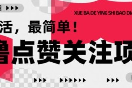 2025最新零撸点赞关注小项目 无门槛操作简单1元即可提现