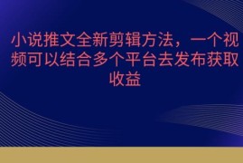 小说推文全新剪辑方法详解 多平台分发获收益实操教程