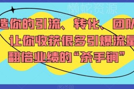 引流转化与团队体系搭建教程 业绩翻倍实用运营方法合集