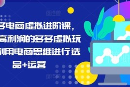 拼多多虚拟电商进阶课程 高利润选品运营全流程实操教学