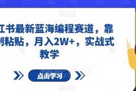 小红书最新蓝海少儿编程赛道实操 低门槛复制粘贴月入可达2万+