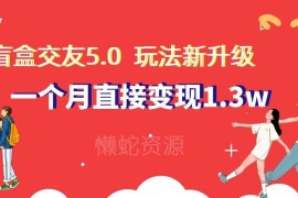 盲盒交友5.0升级版玩法拆解 新手可操作月入过万实操教程