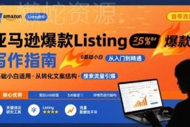 亚马逊0基础小白适用Listing写作方法 轻松打造自带流量爆款Listing