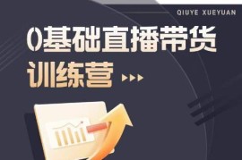 2023直播带货入门到进阶实训课程 新手运营实操全体系培训课