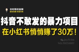 小红书天涯神贴副业项目实操 低门槛轻资产高收益可落地