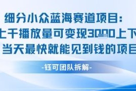 低门槛小众蓝海副业项目 新手可做当日可变现可长期运营