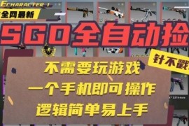 CSGO全自动捡漏赚差价项目玩法详解 无需玩游戏手机即可操作新手易上手