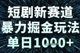 2024短剧新赛道低门槛掘金玩法详解 新手操作单日可实现千元收益