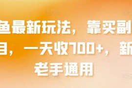 2024闲鱼倒买倒卖实用玩法 新手老手通用的副业赚钱教程