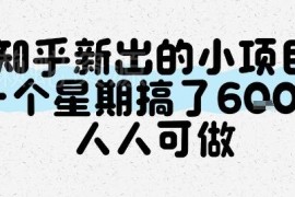 知乎新出人人可做低门槛小项目 单周收益实操完整流程指南