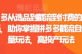 拼多多选品截流付费运营技巧汇总 自然流量高投产玩法教程