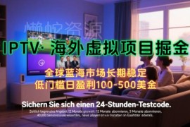 海外IPTV虚拟掘金项目实操 个人居家可做长期可复制收益可观
