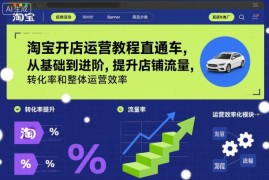 2025年11月更新 淘宝直通车全阶运营教程 提升流量转化及运营效率