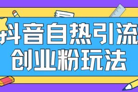 抖音创业粉自热引流实操教程 蓝海项目可日引200+精准粉