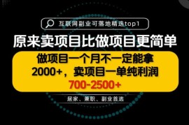 卖项目单利润700-2500元 普通人入局实操方法全解析