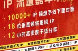 2024群响IP流量嘉年华现场视频及IP江湖典藏版PPT资料合集
