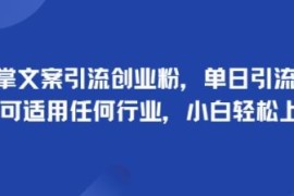 手掌文案引流创业粉实操方法 小白易上手单日可引流100+