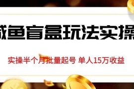 闲鱼盲盒实操玩法详解 单人半个月批量起号实现15万收益