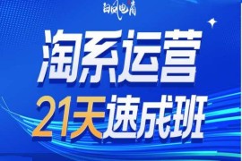 淘系运营21天速成班35期 含年前运营技巧及2025年布局方向